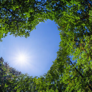 Denise's Research Team